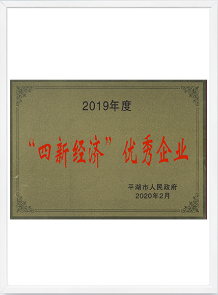 2019年度四新經(jīng)濟(jì)優(yōu)秀企業(yè)