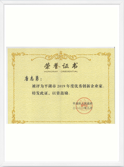 2019年度平湖市優(yōu)秀創(chuàng)新企業(yè)家